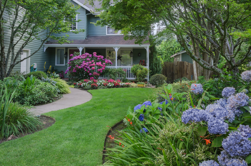 5 Plants To Put In Your Garden This Spring - Gateway Home Garden Center